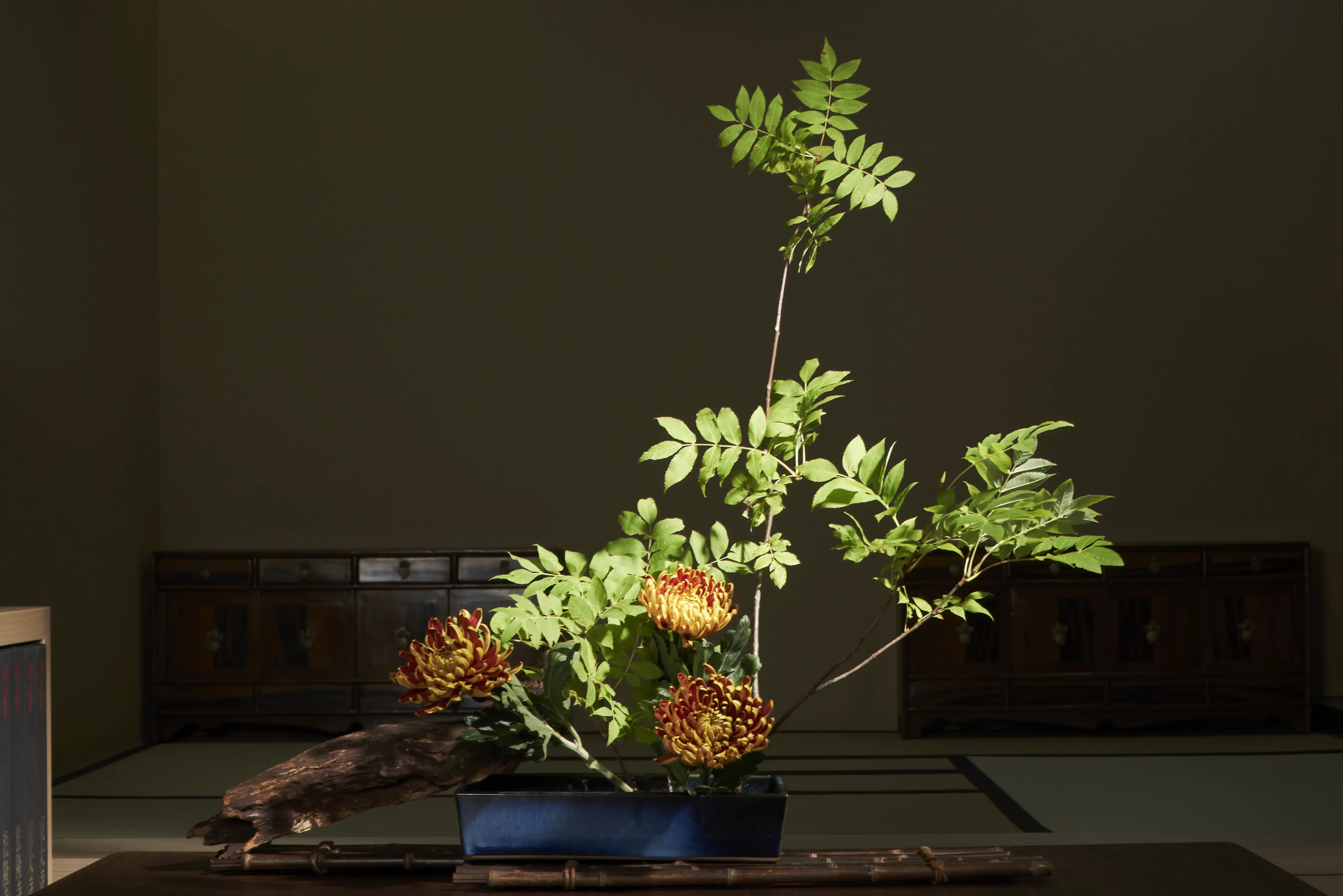 260622_kouenyokoi5174