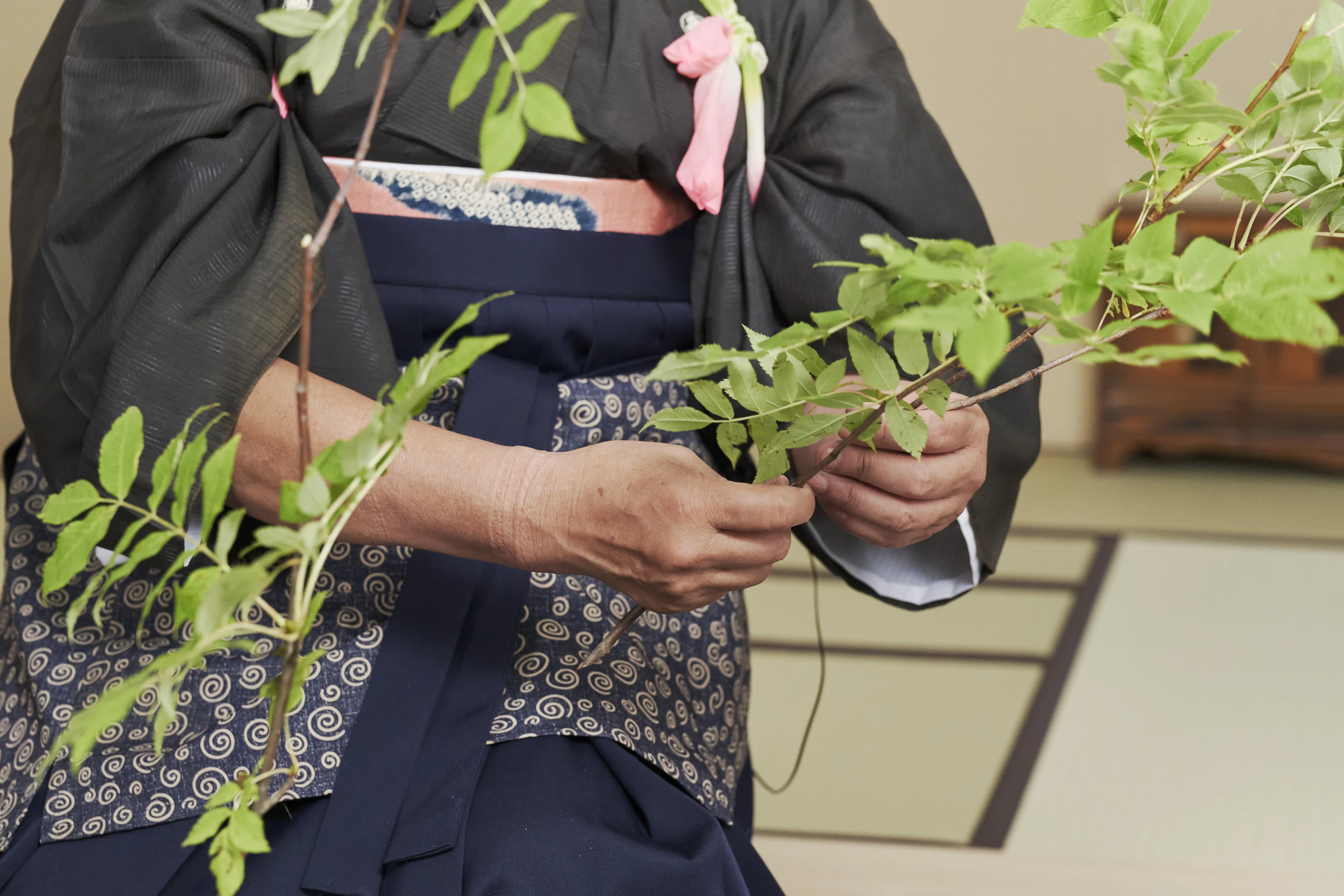 260622_kouenyokoi3836